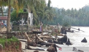 Pantai Tabuyung Abrasi 1 Kilometer