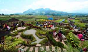 Contohlah Desa Pujon Yang Berhasil oleh Dana Desa