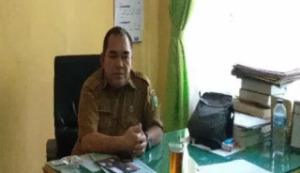 Pantau Corona, Di Madina 17 Orang ODP