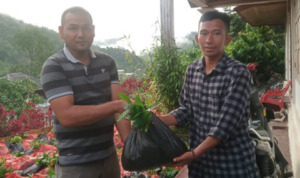 Yayasan Mataniari Genjot Program Investasi Kehutanan Berbasis Masyarakat