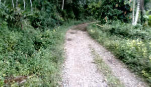 Jalan Menuju 3 Desa di Tambangan Hancur, Warga Hanya Dapat Janji Manis
