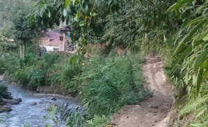 Aek Botung Desa Terisolir, 5 Tahun Menunggu Janji Bupati Madina