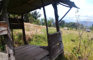 KETAKUTAN DI TANAH SENDIRI