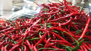 Januari-Juni, Indonesia Impor Cabai 27,8 Ribu Ton