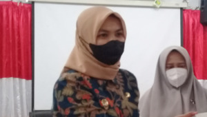 Kemendagri Sudah Fahami Soal Kelalaian Input Data di Madina