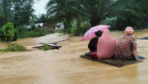 Pakai Rakit Lempengan Papan