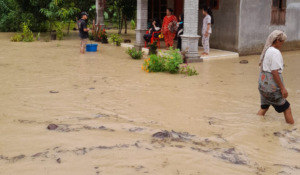 Arus Banjir Berlumpur