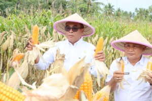 Bupati Madina: Manfaatkan Lahan Tidur untuk Menambah Penghasilan Keluarga