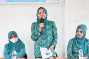 Masuk Kategori Desa Rawan Pendidikan dan Ekonomi, Ketua TP PKK Kunjungi Desa Bange Nauli