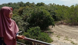 Penghapusan Tenaga Honorer : Benarkah Untuk Meningkatkan Kesejahteraan?