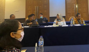 Atika Tolak Tandatangani Batas Baru Tapsel-Madina