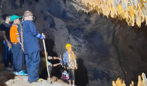 Melirik Sejarah Pupuk Sarlinkson