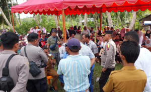 Pilkades Tabuyung Janggal, Butuh Hitung Ulang