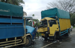 Truk Laga Kambing di Lintas Timur Panyabungan, Supir Patah Kaki