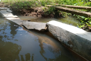 Kadistan Madina Tegur Kontraktor Proyek Irigasi di Saba Lamo Barbaran yang Rusak