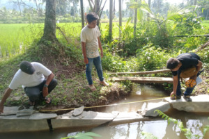 Cv Nabila Siap Perbaiki Kerusakan Bangunan Irigasi Saba Lamo Barbaran