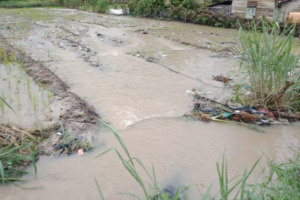 Saba Rambin di Desa Huta Dame Kebanjiran