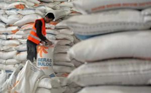 Meski Dikritik, Indonesia Impor Beras Besar-Besaran