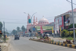 Kabut Asap Mulai Selimuti Bukit Barisan di Madina