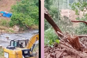 Tambang Emas Ilegal Pake Alat Berat Mulai Rambah Hutan di Siulangaling