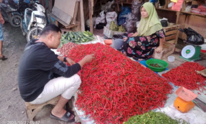 Penghujan, Harga Cabai Kian Pedas