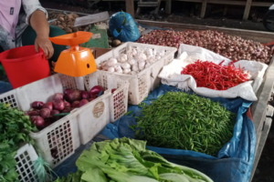 Awal Tahun Sejumlah Harga Bahan Pokok di Madina Naik