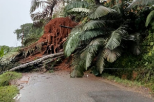 Longsor dan Banjir Terjadi di Pantai Barat Madina