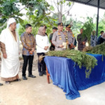 Berkunjung ke Madina, Kapoldasu Sebut Ada Alat Pendeteksi Tanaman Ganja