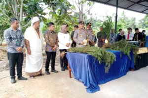 Berkunjung ke Madina, Kapoldasu Sebut Ada Alat Pendeteksi Tanaman Ganja
