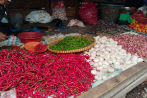 Harga Cabai di Madina Naik, Komuditas lainnya Normal