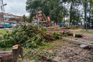 Ini Penjelasan DLH Terkait Proyek Penataan Taman Kota Panyabungan yang Dipersoalkan