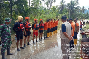 Sungai Batang Gadis Meluap. Lahan Pertanian Terendam
