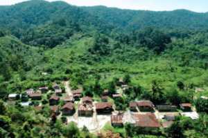 Desa Aek Nabara Panyabungan Timur jadi DPT Terkecil, Sipolu Polu Terbesar di Pilkada Madina