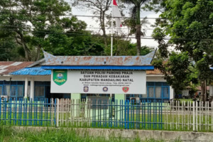 Ada Anggaran 3,4 Miliyar di Satpol PP Madina untuk Belanja Jasa Keamanan. Kasus Pemerkosaan Libatkan Oknum Satpol PP Jadi Sorotan