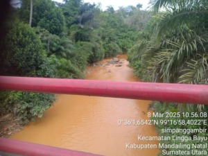 Todung Mulia Lubis : Pemerintah dan Kepolisian telah melakukan ‘ommission’ Terhadap Penambang Emas Liar di Madina