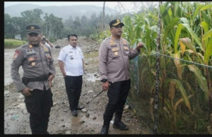 Dana Reklamasi Tambang Emas Ilegal Kotanopan Dipertanyakan