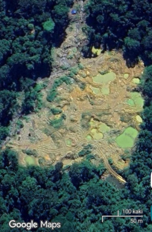 Pelaku Ilegal Maining Asal Sumbar Diduga Jadi Biangkerok Kerusakan Kawasan TNBG di Madina