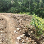 Kades dan Sekdes Jambur Baru Batang Natal Milih Bungkam Terkait APBDes 2024-2025