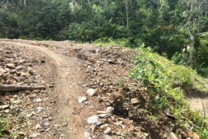 Kades dan Sekdes Jambur Baru Batang Natal Milih Bungkam Terkait APBDes 2024-2025