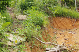 Asset Pemerintah Dirusak, Kades Jambur Baru di Madina Terancam Sangsi Pidana