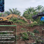 Pelaku Tambang Emas Ilegal Mulai Garap Kawasan Perkebunan PT PSU di Natal