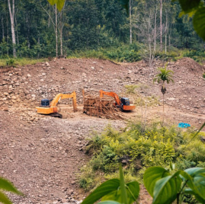 Tak Tersentuh Hukum, Alat Berat Penambang Emas Ilegal di Sipogu Beroperasi Terang Terangan