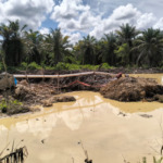 Lahan BUMD di Madina Diduga Dikuasai Mafia Tambang. Pengamat Desak Gubsu Bertindak