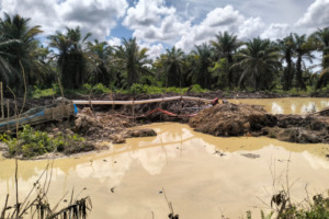 Lahan BUMD di Madina Diduga Dikuasai Mafia Tambang. Pengamat Desak Gubsu Bertindak