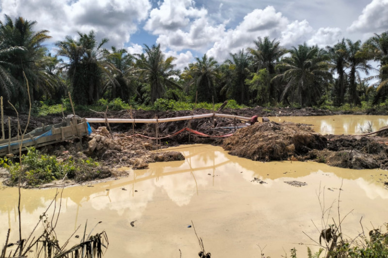 Lahan BUMD di Madina Diduga Dikuasai Mafia Tambang. Pengamat Desak Gubsu Bertindak