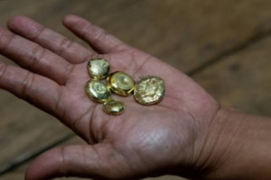 Sulit Diberantas, PETI di Madina Diduga Libatkan Oknum APH Sebagai Penampung