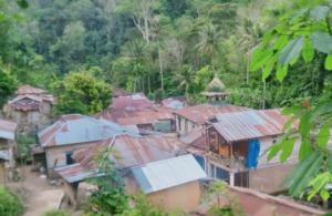 Status Tertinggal, Dana Desa Sopo Batu Tahun 2025 Rp 571 Juta. Untuk Energi Alternatif Rp130 Juta, Buat Jalan Desa Cuma Rp30 Juta