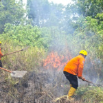 Kebakaran di Bukit Cemara Panyabungan Ditangani Cepat Tim BPBD dan Damkar
