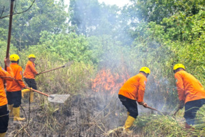 Kebakaran di Bukit Cemara Panyabungan Ditangani Cepat Tim BPBD dan Damkar
