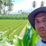 Sulhan Nasution Soroti Pengadaan Benih Distan Madina, Dorong Penangkaran Bersertifikat